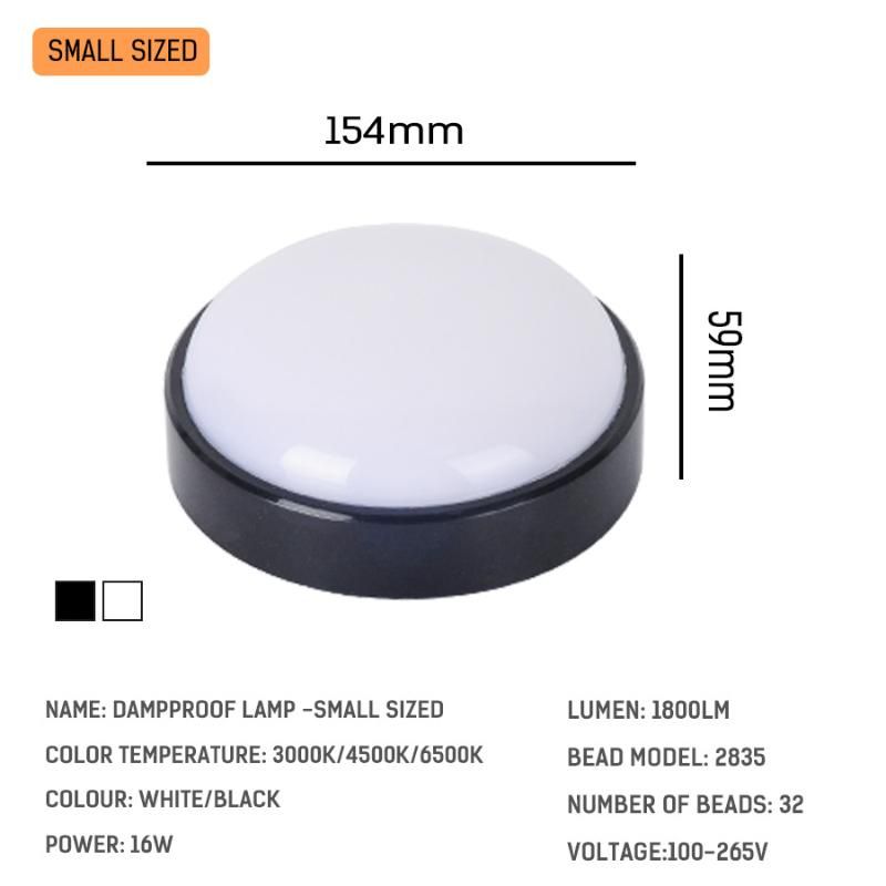 Black Shell Cold White