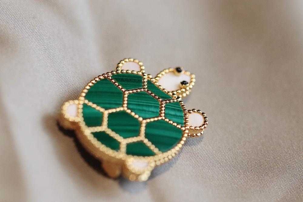 Turtle