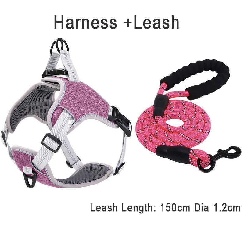 Mor Harness Tasma