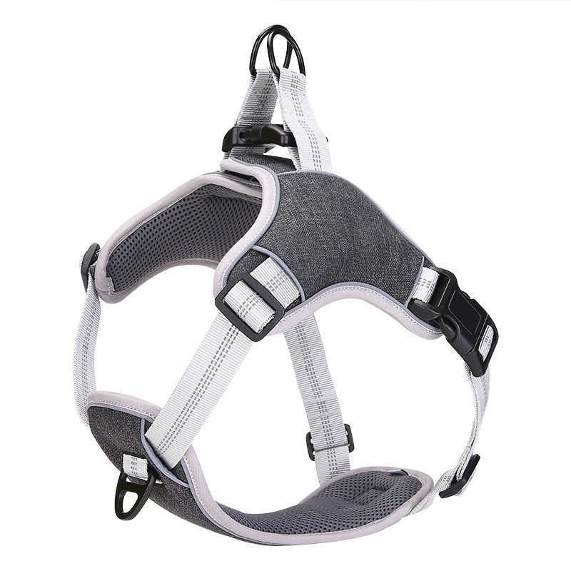 Black Dog Harness