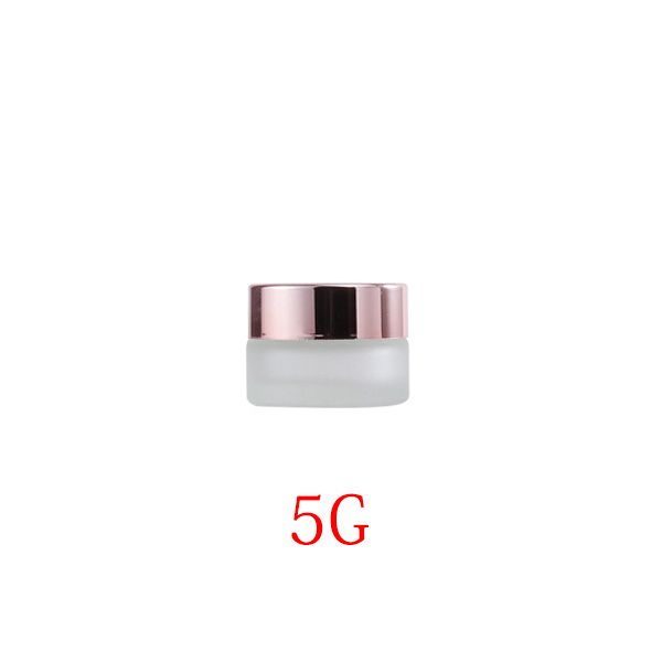 5g