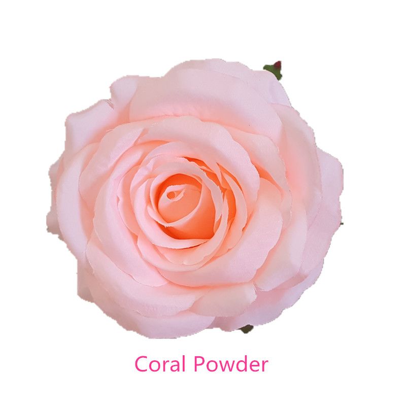 Coral Powder