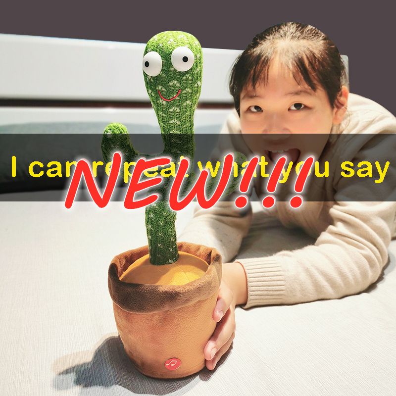 voice repeating cactus toy