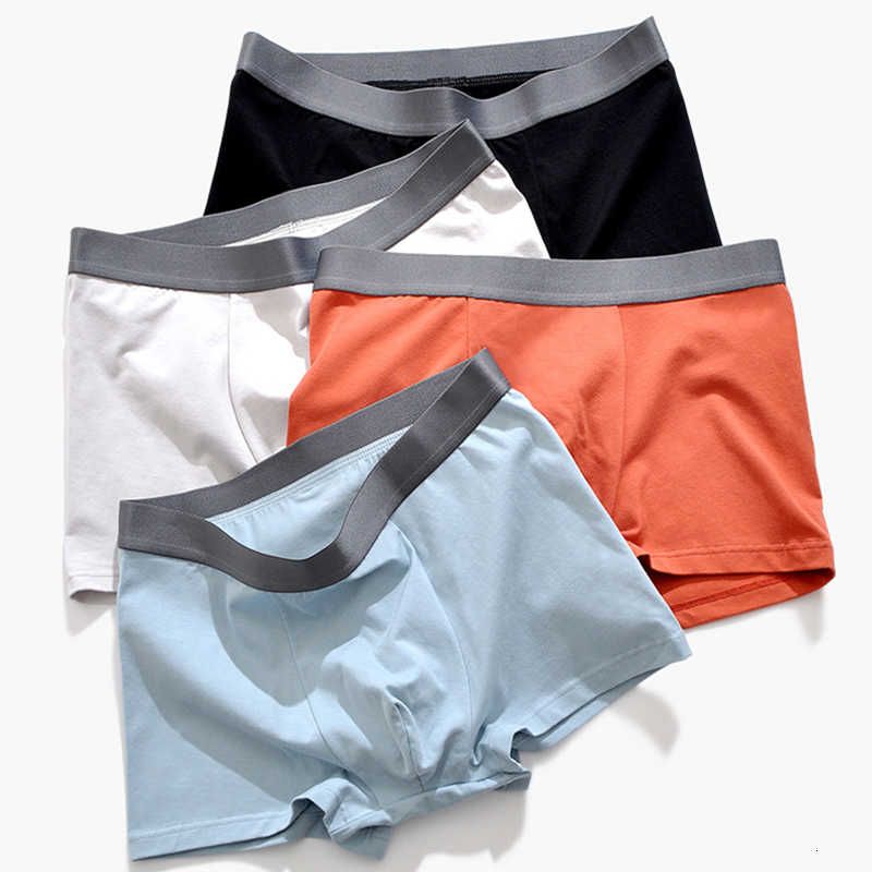 Calecon plus Clearance