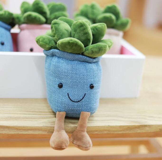 Succulente blu (25 cm)