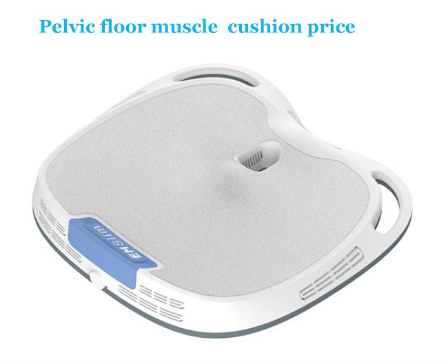 Pelvic Floor Muscle Cushion (geen machine)