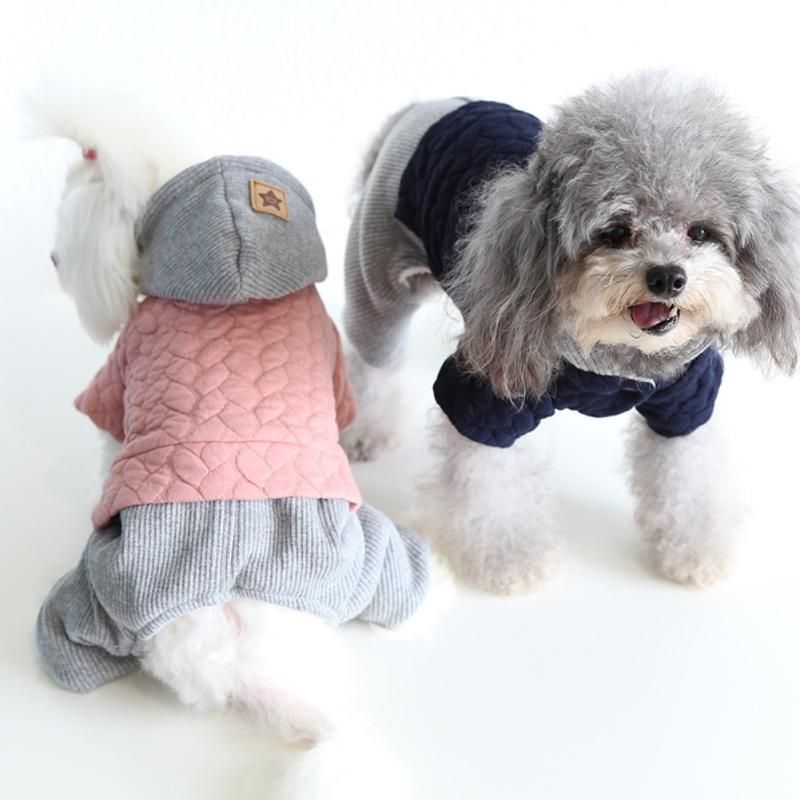 dropship dog clothes