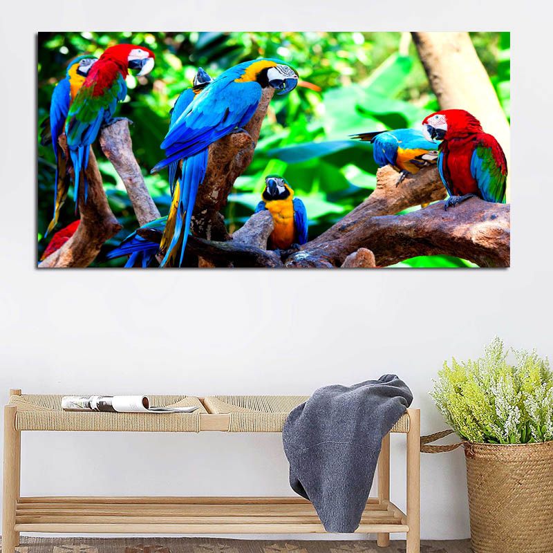 Uccelli pappagalli-3