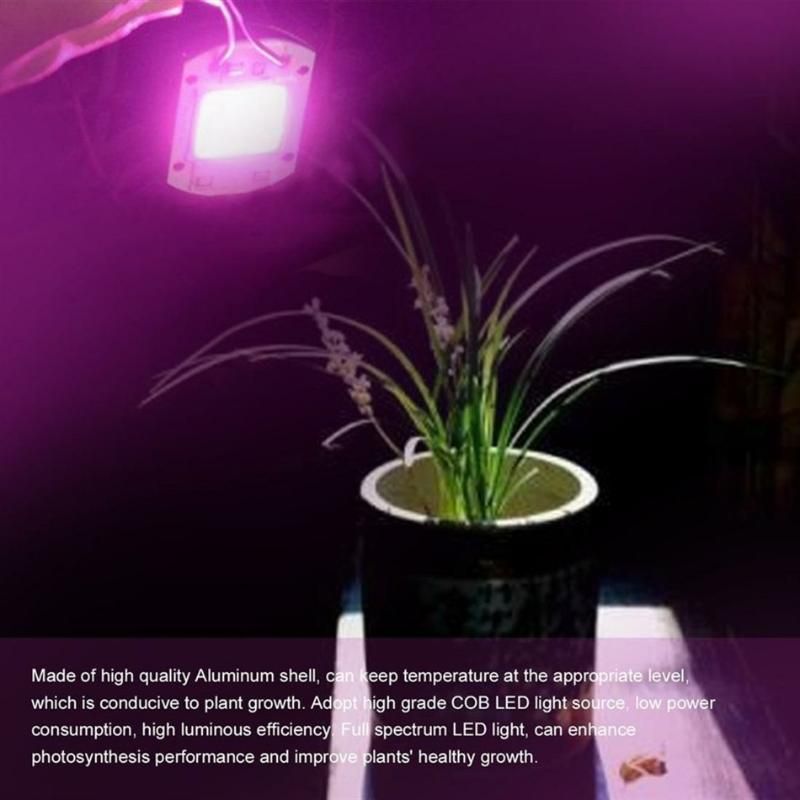 Cob Led Grow Light Chip Lamp Full Spectrum AC110V/220V 20w 30w 50w DIY Indoor Cob Led Grow Light Chip Lamp Full Spectrum AC110V/220V 20w 30w 50w DIY Indoor