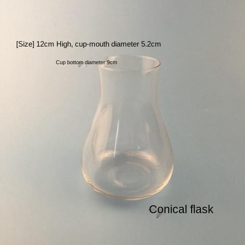 Erlenmeyer Flask