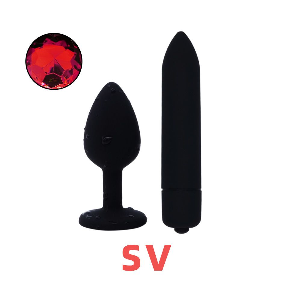 S und Vibrator