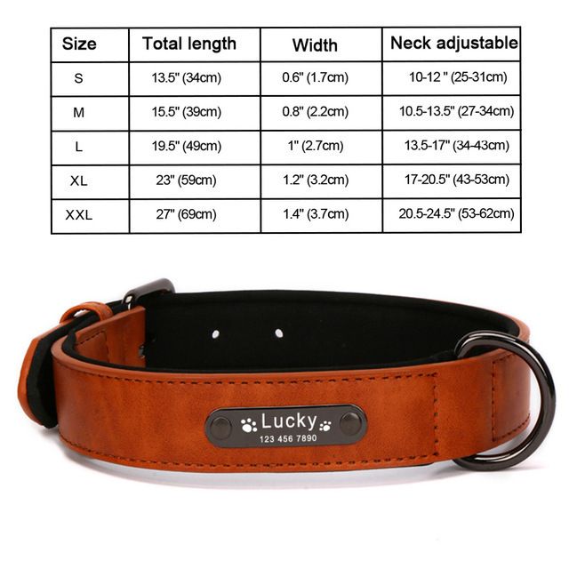 Orange Dog Collar.