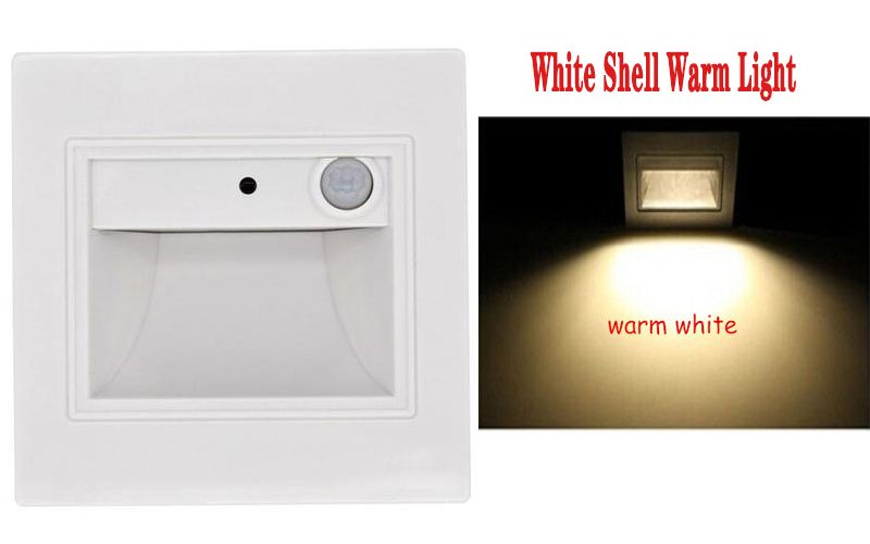 White Shell Warm Light