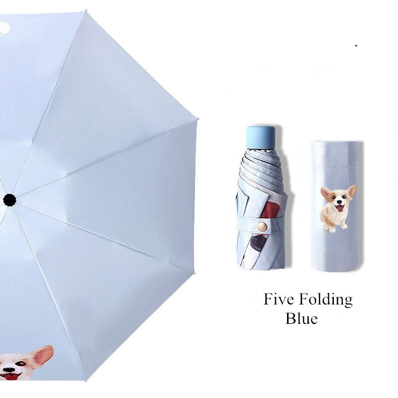 Blue-five folding