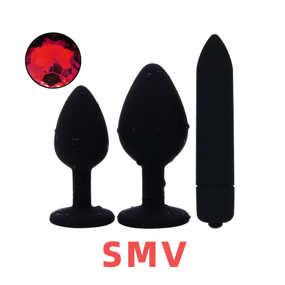 SM und Vibrator