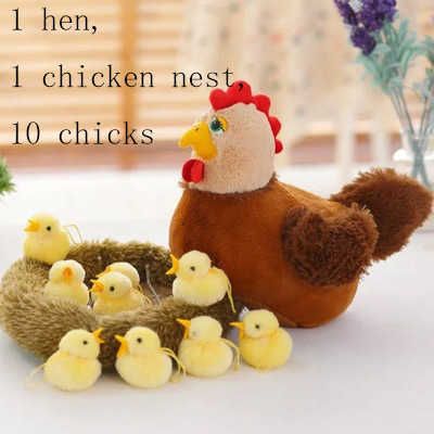 Hön chick boet