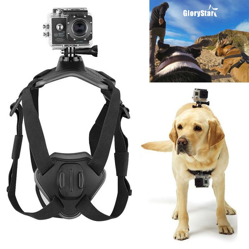 Perro Fetch Arnés Pecho Correa Soporte para GOPRO Sony Acción Cámara Digital