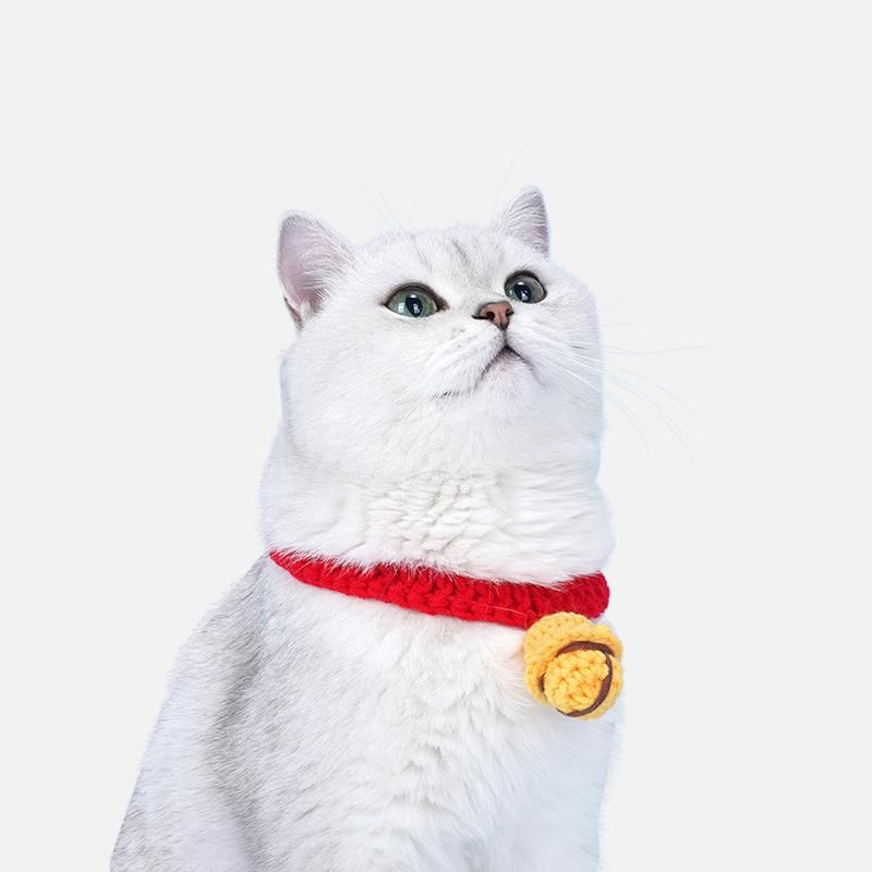 petco e collar cat