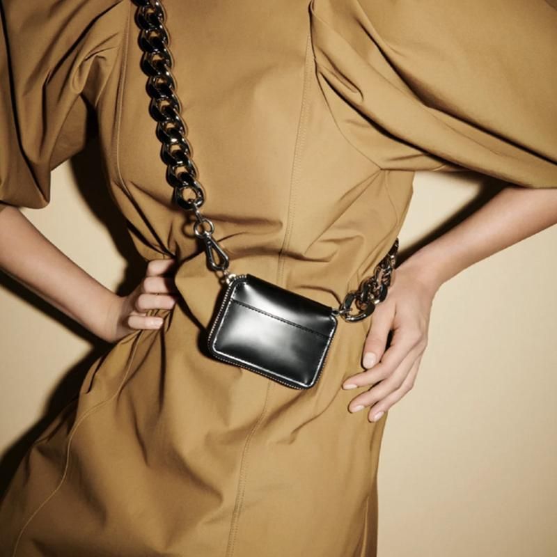 purse with big chain