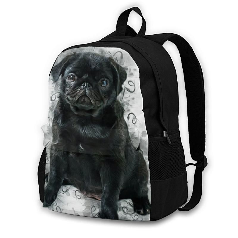 pug with backpack
