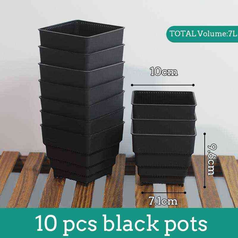 Noir - 10 pcs 10 cm12