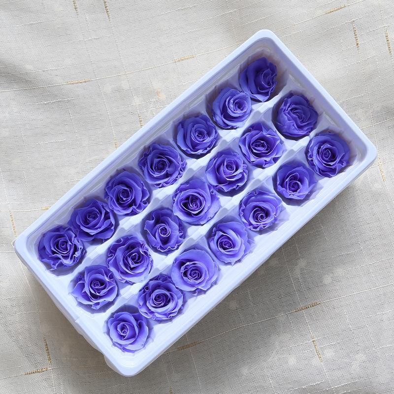 21pcs Bleu violet