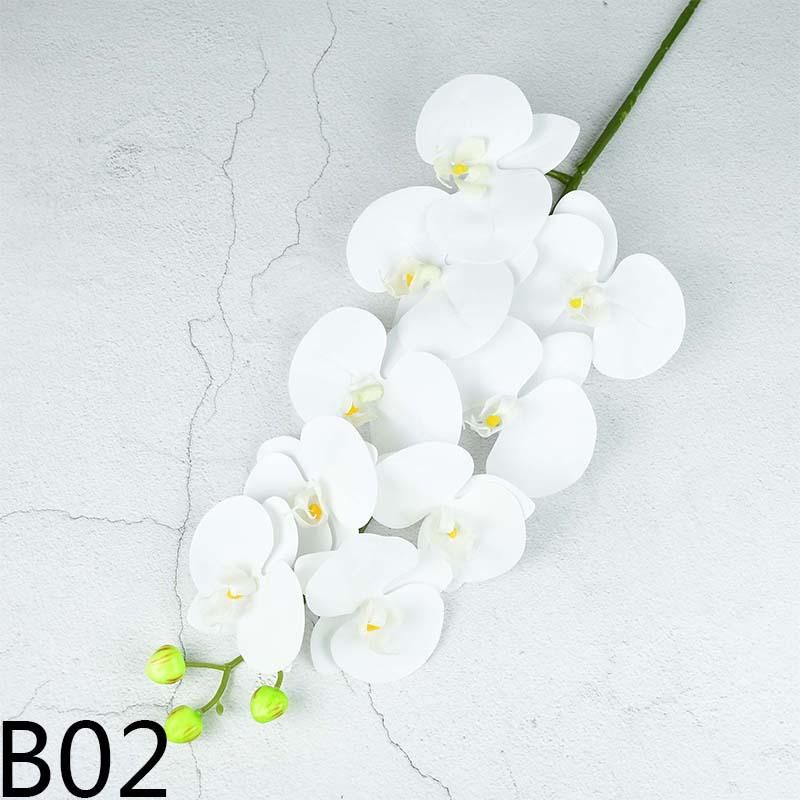 B02