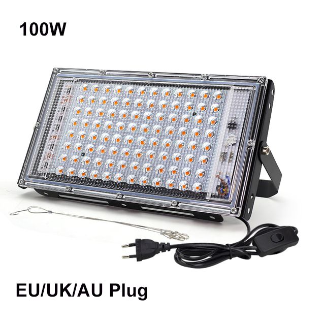 100W-EU-plug