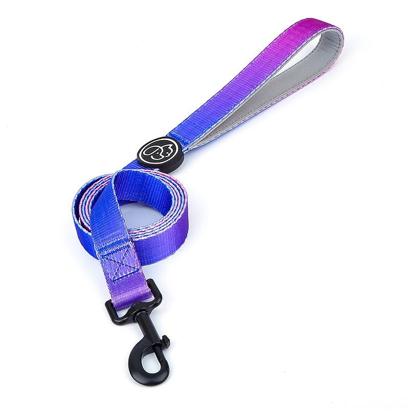 Purple Leash