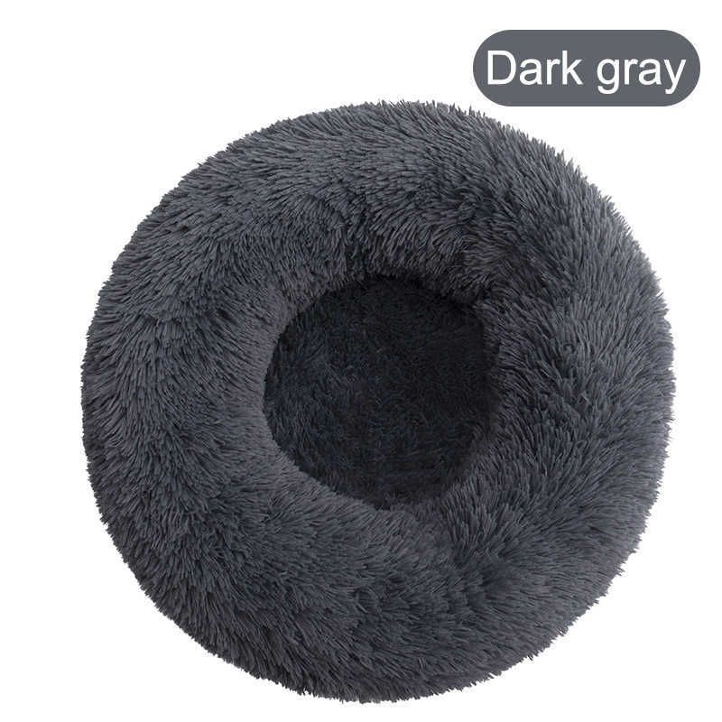 Drak Gray 1