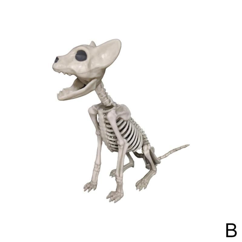 Animal Skeleton Model Halloween Cat Dog Skeleton Prop Animal Bone Model Horror Party Decoration Ornaments H1009 Animal Skeleton Model Halloween Cat Dog Skeleton Prop Animal Bone Model Horror Party Decoration Ornaments H1009