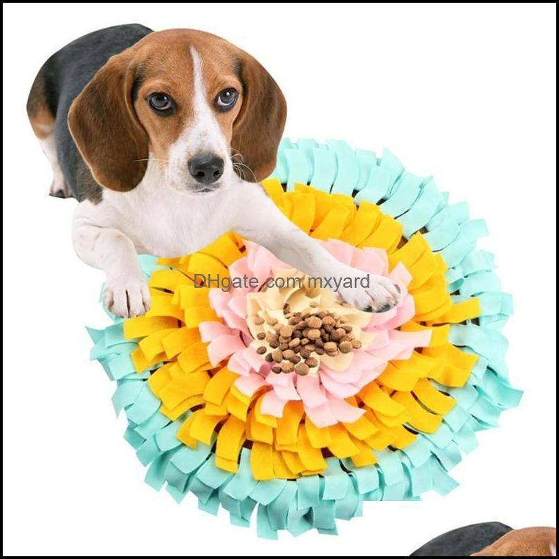beagle training pens