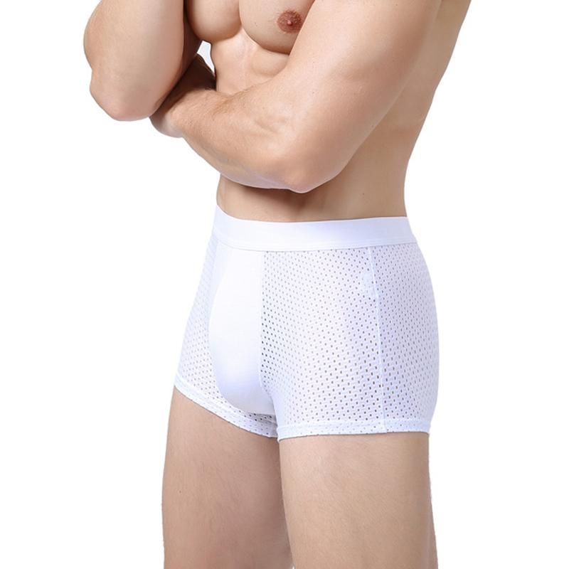 Compra Calzoncillos Más Tamaño 4xl Verano Malla Sexy Hombres Boxer Shorts  Boxers Homme Transpirable Ventilate Bambú Fibra Sexo Noche Ropa Interior  Barato | Entrega Rápida Y Calidad | Es.Dhgate