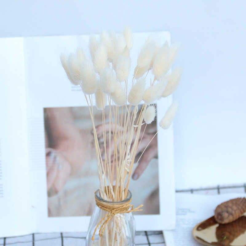 White-20pcs No Vase