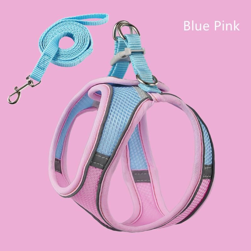 Blue Pink1