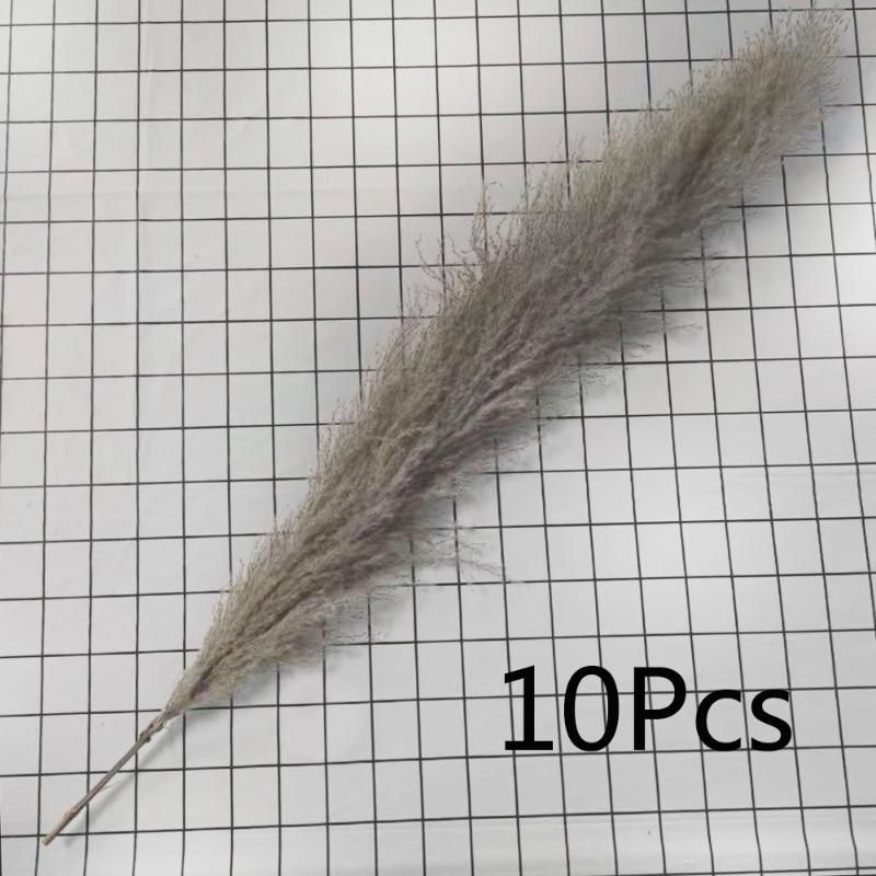 Natural Color-10pcs