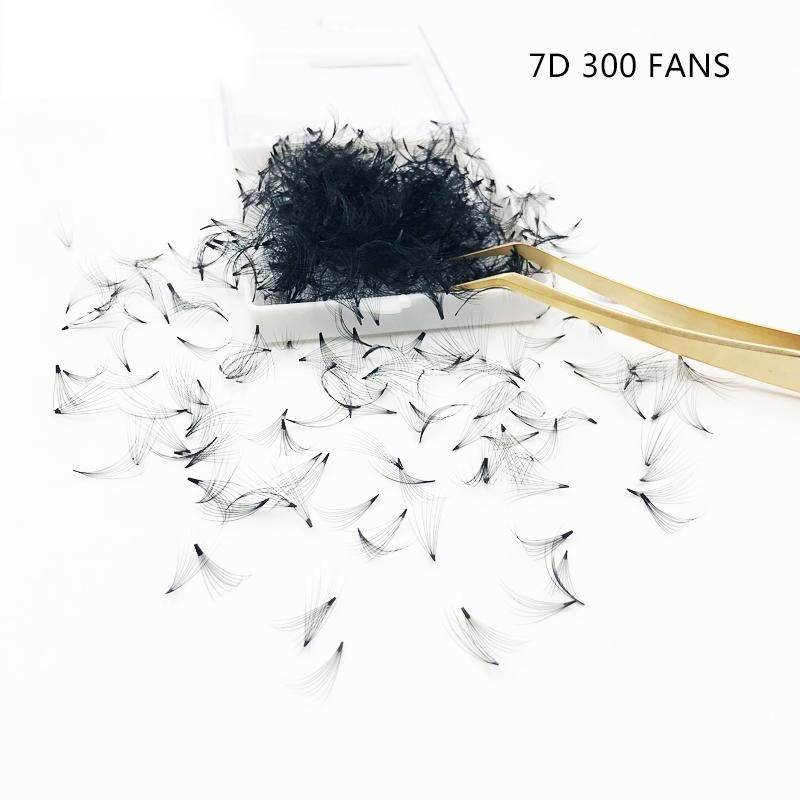 C 8mm 7D 300 fans