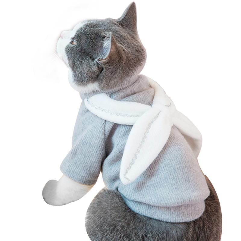 Caso equivocado Hablar Trajes de gato PET Reno de suéter Invierno Ropa de abrigo para gatos Ropa  Gatito Productos
