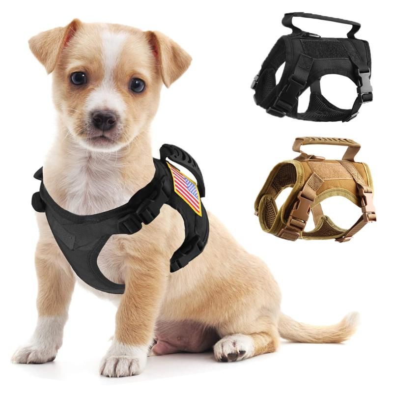 hunting dog vest with handle