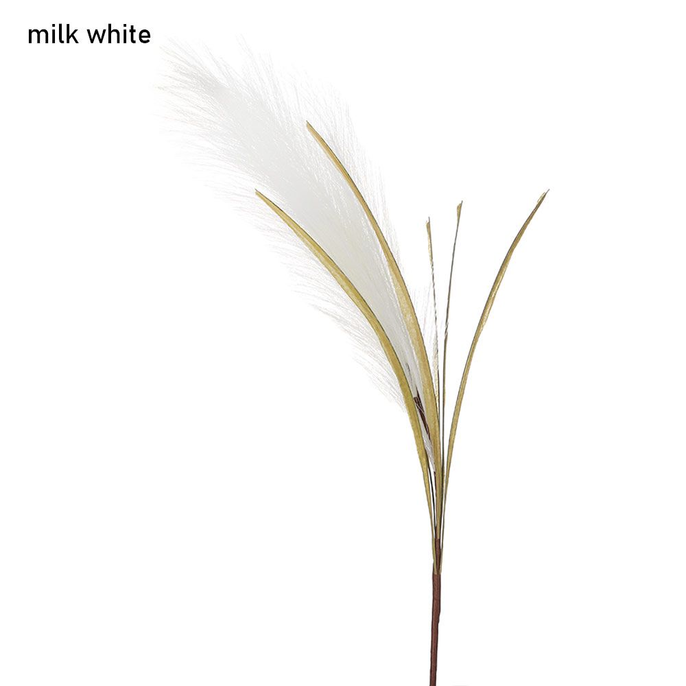 Blanc lait