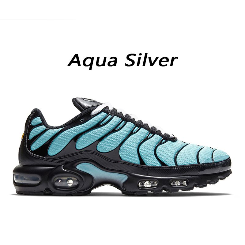 Aqua silver