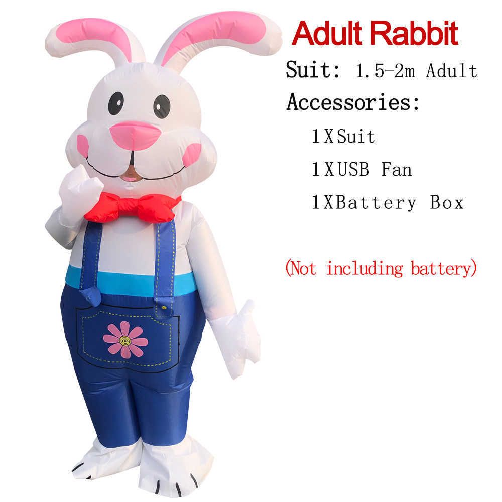 Adult Rabbit