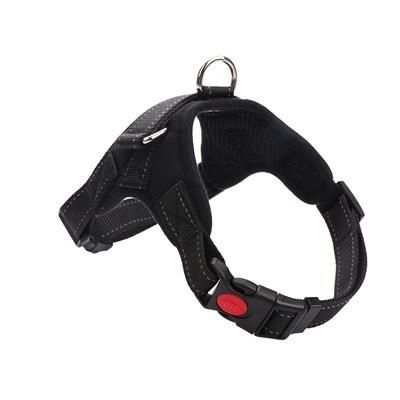 Black Dog Harness