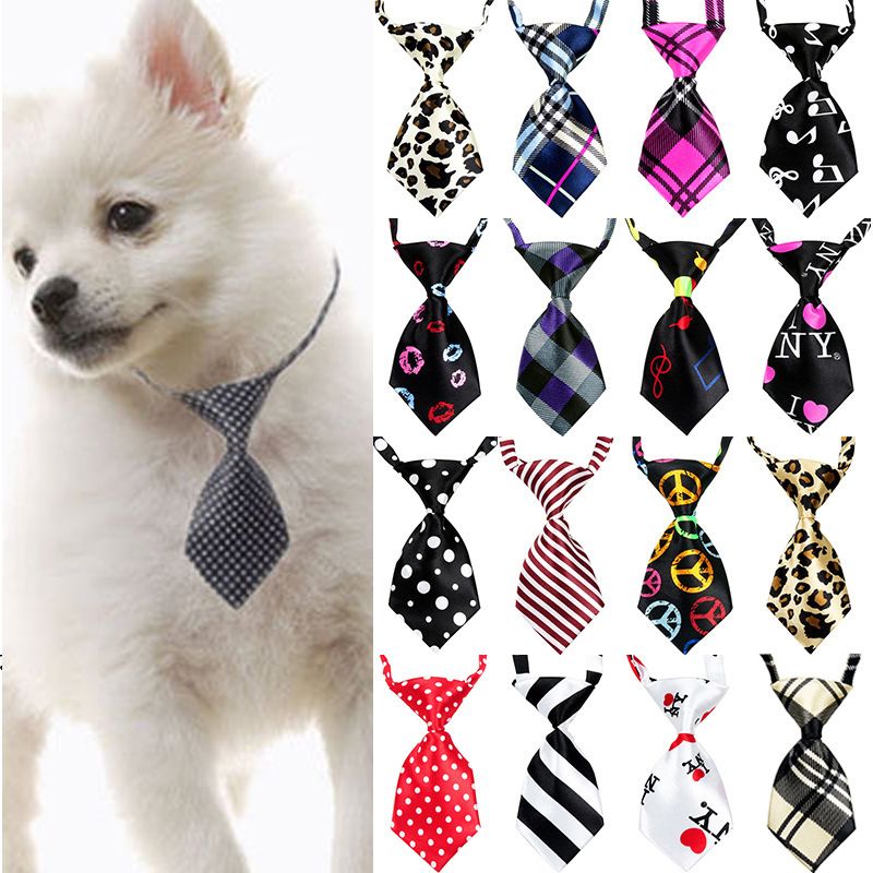 hunting dog supplies wholesale