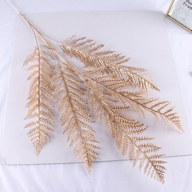 5 Fork Fern leaf