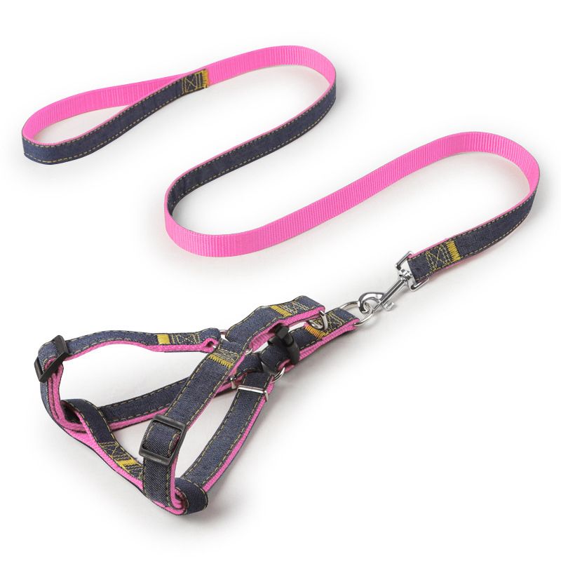 Rosa Harnesses Leashes