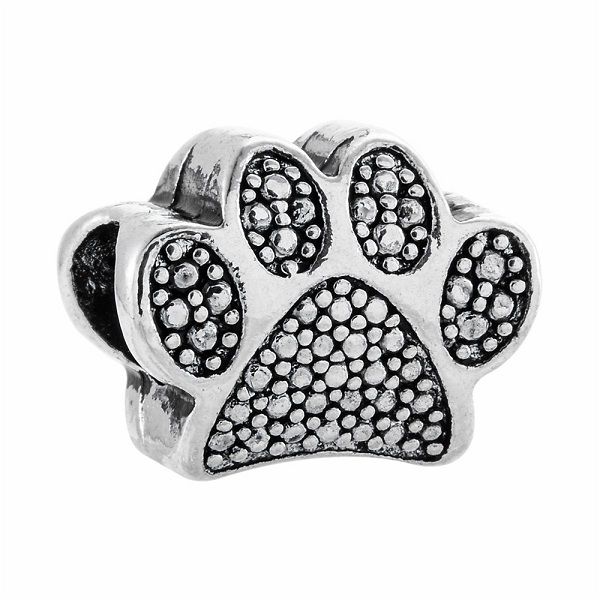 hund paw print