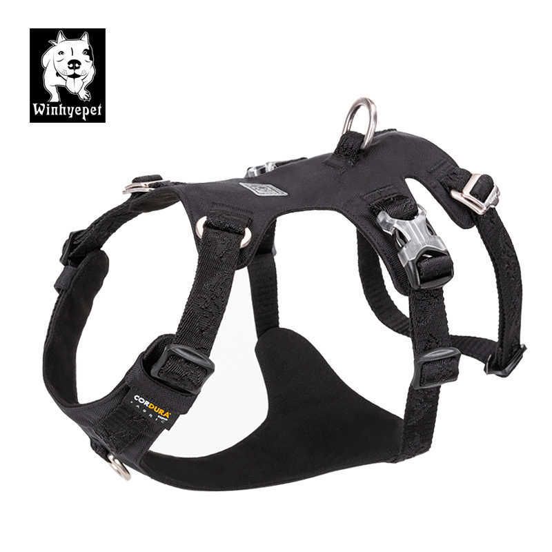 Black Dog Harness