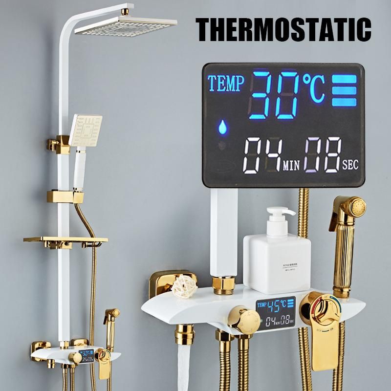 China Thermostatic4