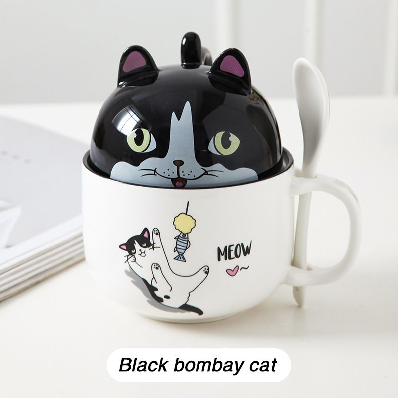 Czarny Bombay Cat.